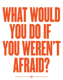 What would you do if you weren't afraid?